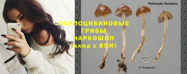 хмурый Волосово
