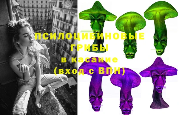 хмурый Волосово