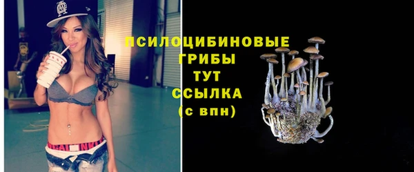 хмурый Волосово