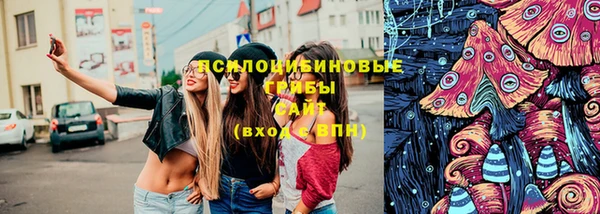 спиды Володарск
