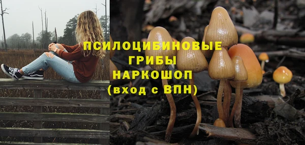 соль ск Осинники