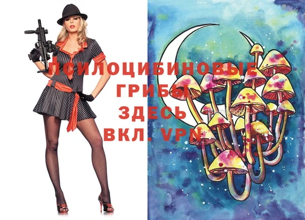 гидропоника Волоколамск